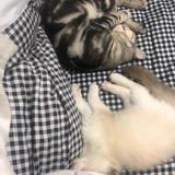 用户14695416698头像