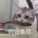 田园喵w头像