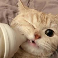 往前看不往回走头像