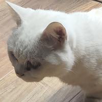 黑色垃圾桶569头像