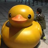默默90169头像