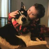 Samuel汪诗豪头像