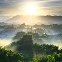 骑着兔子压马路头像