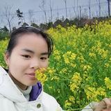 优雅云朵Zsy头像