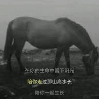 名驭二手车小章头像