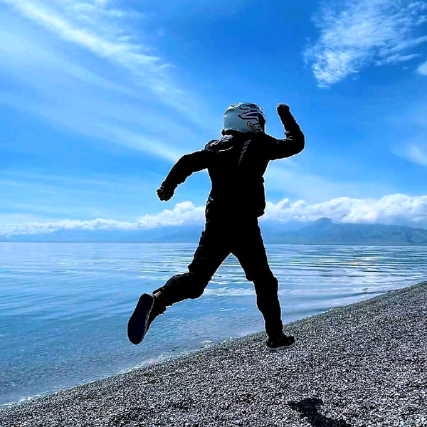 努力的葵爸头像