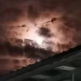 疯雨魔林头像