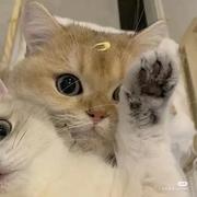 年轮719的个人资料头像