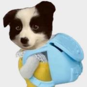读书人不打诳语的个人资料头像