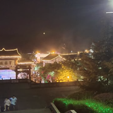 贫僧法号善缘头像