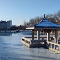 沽水流霞825头像