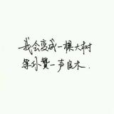 南城之南暖如初头像