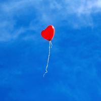 正大光明青山sS6头像