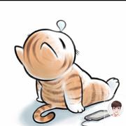 老猫一个的个人资料头像