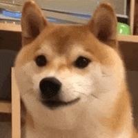 用户5453777284373头像