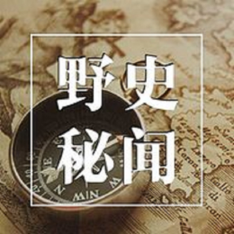 野史铺子头像