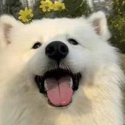 微云君的个人资料头像