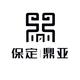 保定鼎亚比亚迪
                        头像