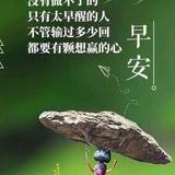 害虫头像