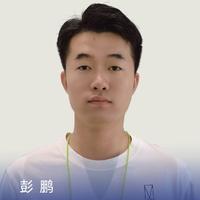 阿维塔彭鹏头像