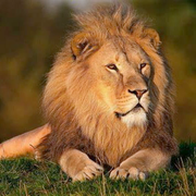 赵永鹏的个人资料头像