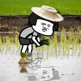 white1314头像