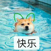 GriFFin的个人资料头像