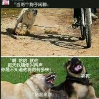 围观而已丶头像