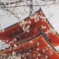 燕园糖果屋头像