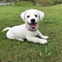 聪慧海洋lDe头像