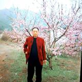 江南森林559头像