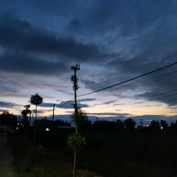 上进的湖泊a7头像