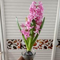 梦的海洋9171头像