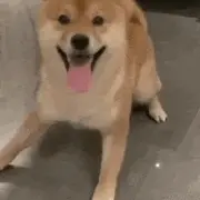 立刻有的个人资料头像