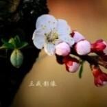 许愿2595头像