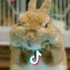 淡定阳光jXA头像