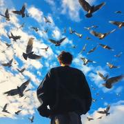 阿sea的个人资料头像