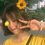 巴可惜头像