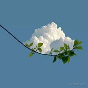 秦师_的个人资料头像