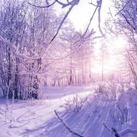 WLing星辰HEV头像