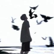 晋湖的沈放的个人资料头像