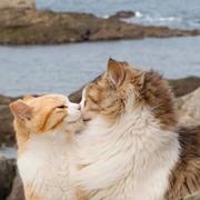 CHEN_的个人资料头像