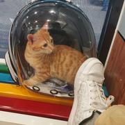 肥仔的冬天的个人资料头像