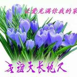 有才哥979头像