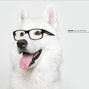 Chenley的个人资料头像