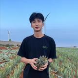 粽子🍍头像