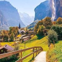 无情的长大头像