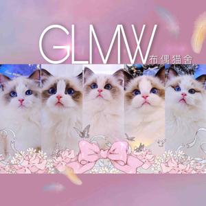 GLMW布偶猫舍头像