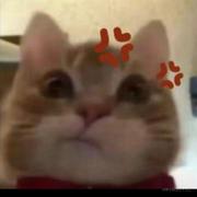 Eightx的个人资料头像