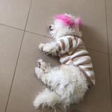 杨一🤓头像